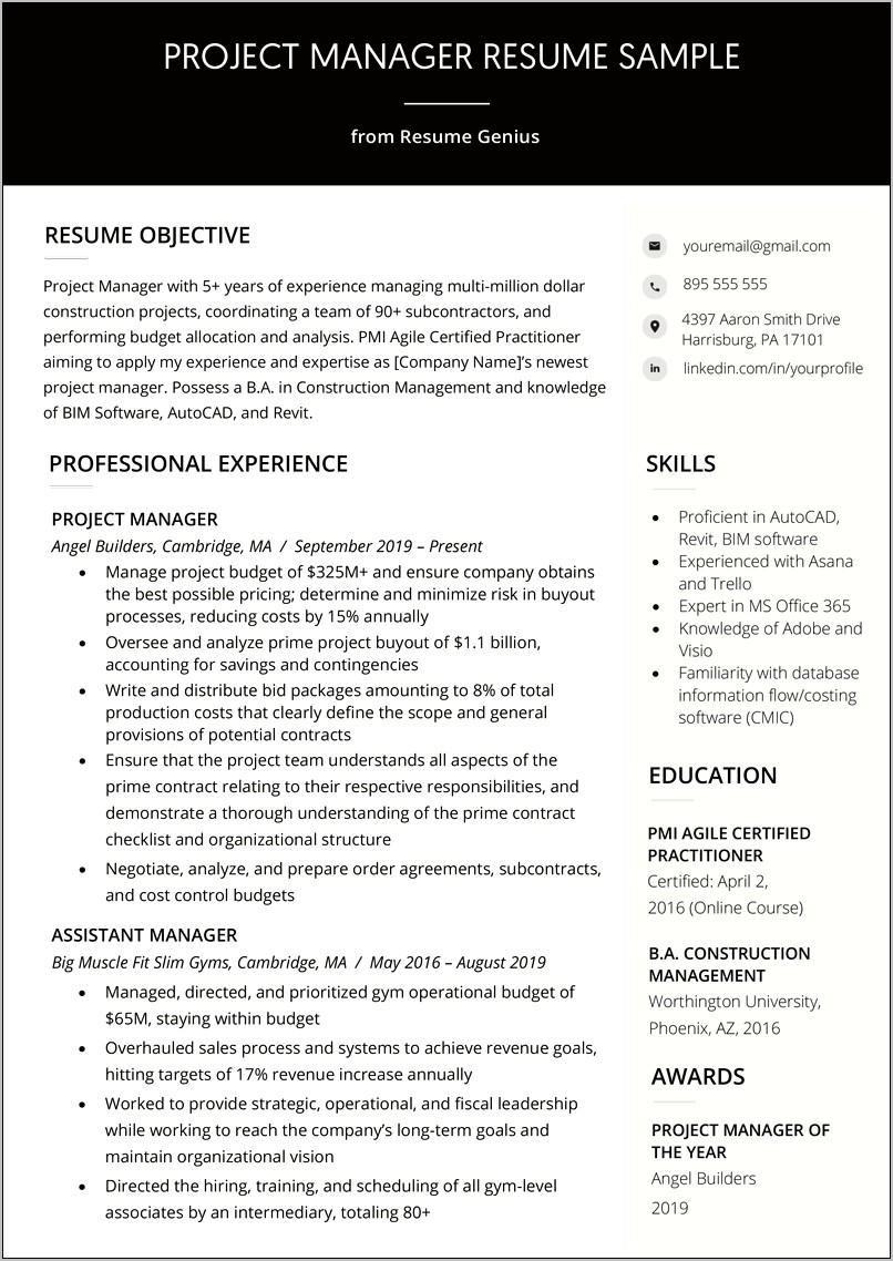 Short And Engaging Pitch For Managers For Resume