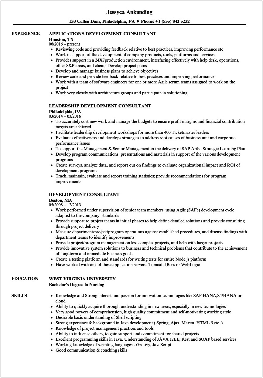 Technical Business Development Consultant Resume Template