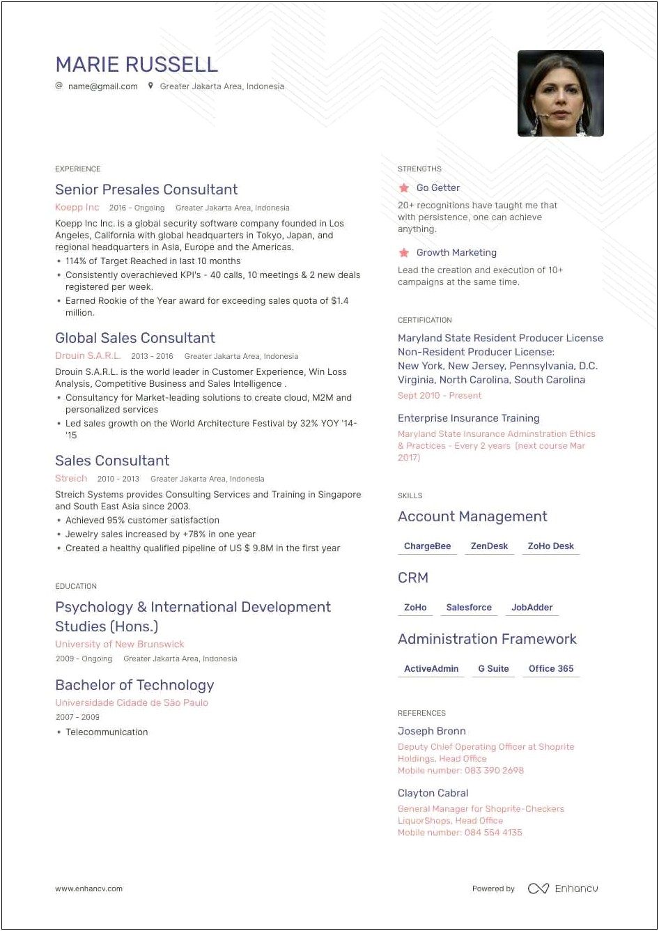 Templates For Insurance Sales Resume Sample