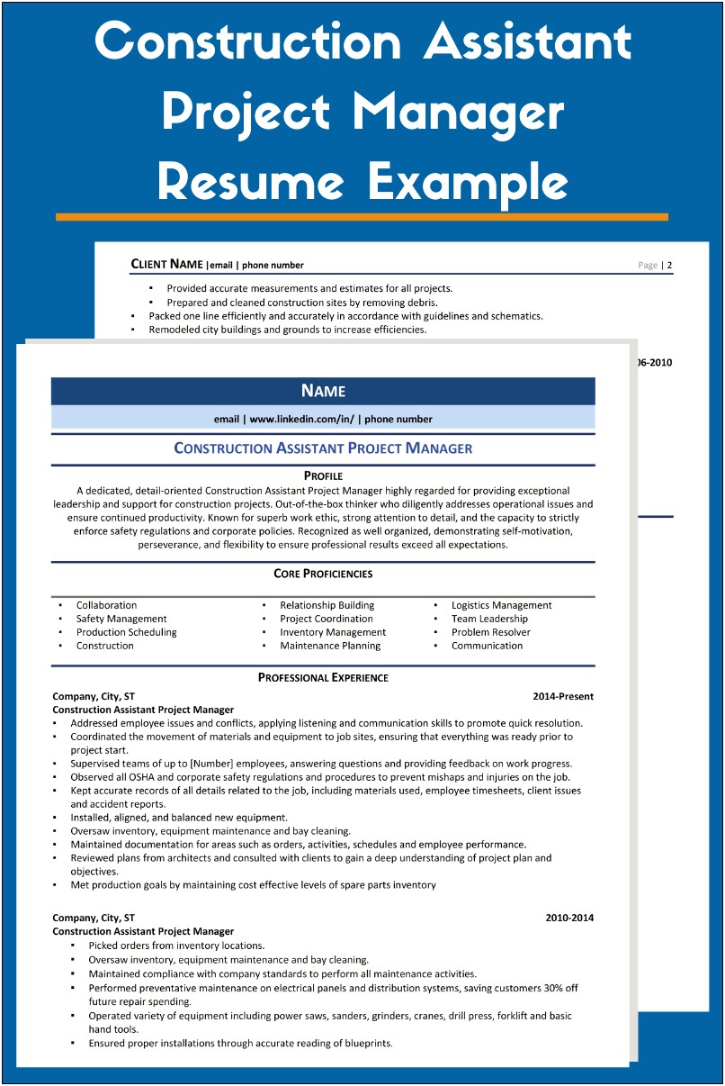 Use Of Programming In Project Management In Resume