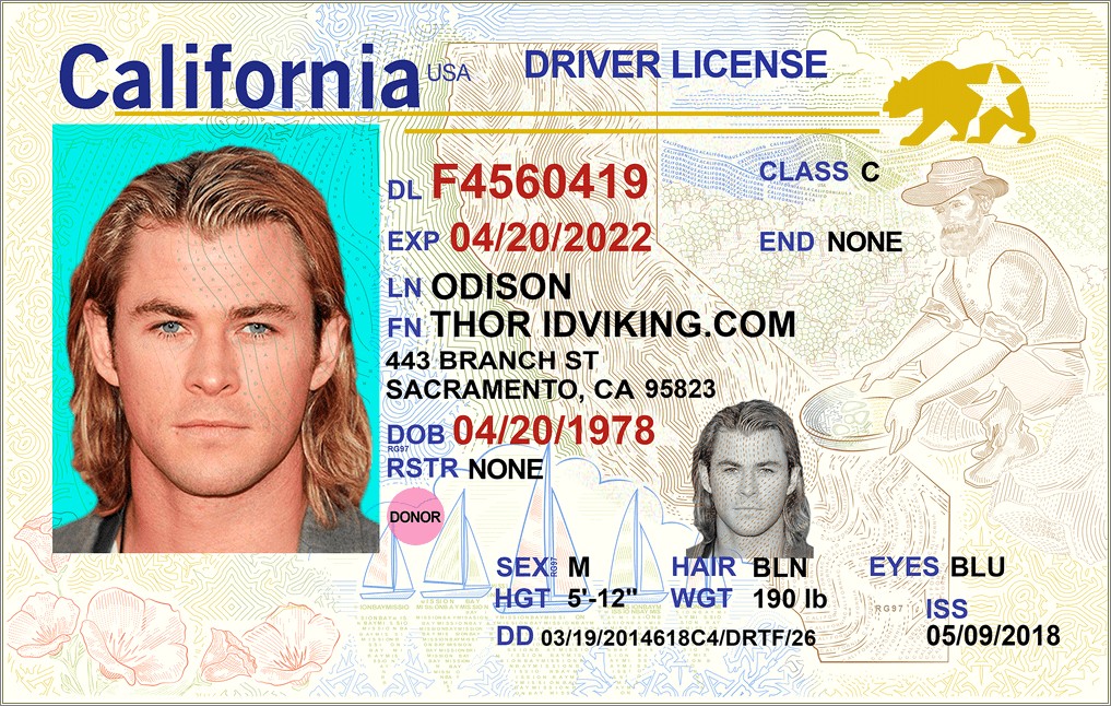 California Drivers License Template Photoshop Free