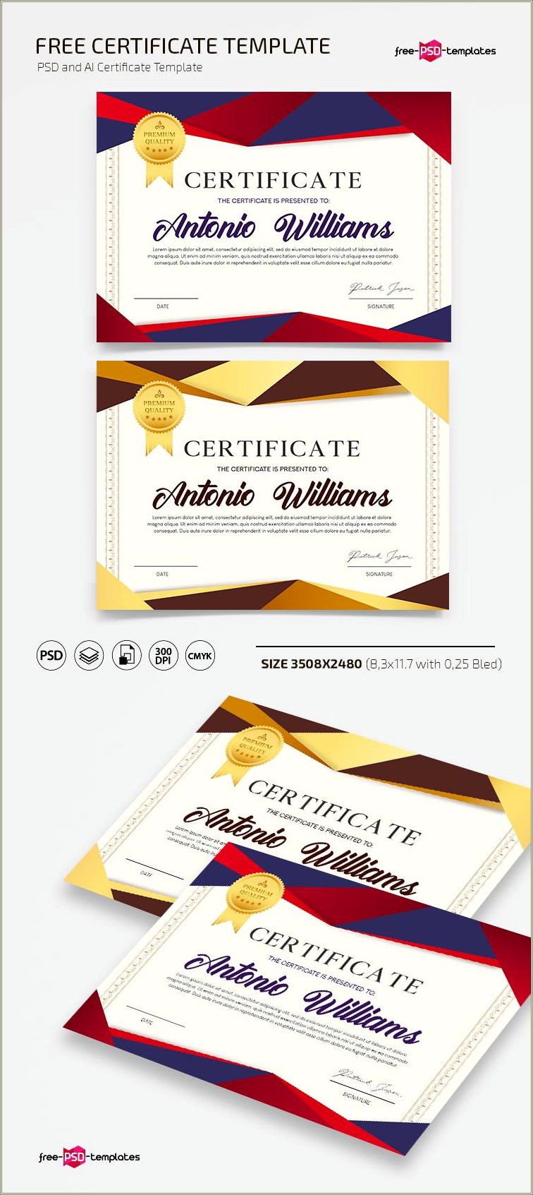 certificate-design-template-free-download-psd-resume-example-gallery
