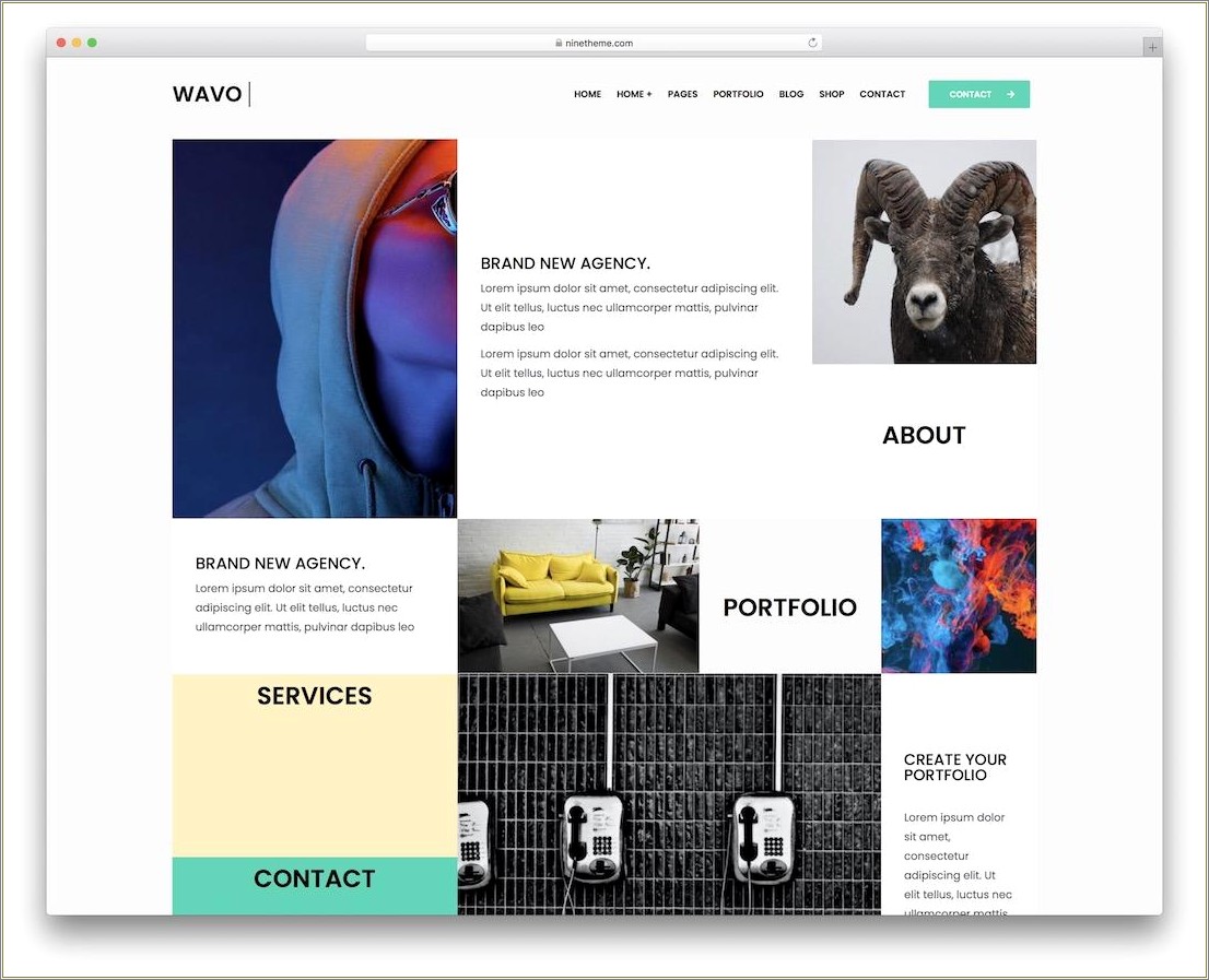 Download Free Photo Gallery Web Template