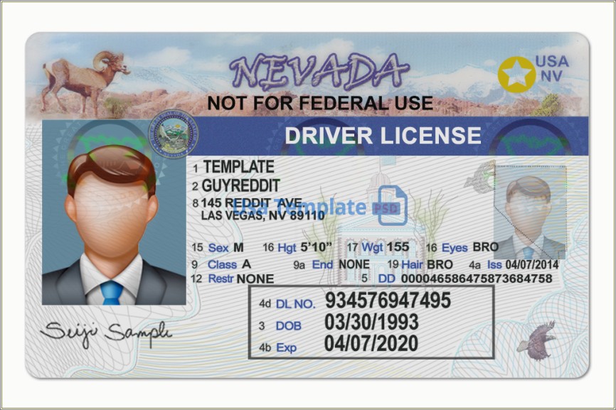 Fake Drivers License Template Free Downloads