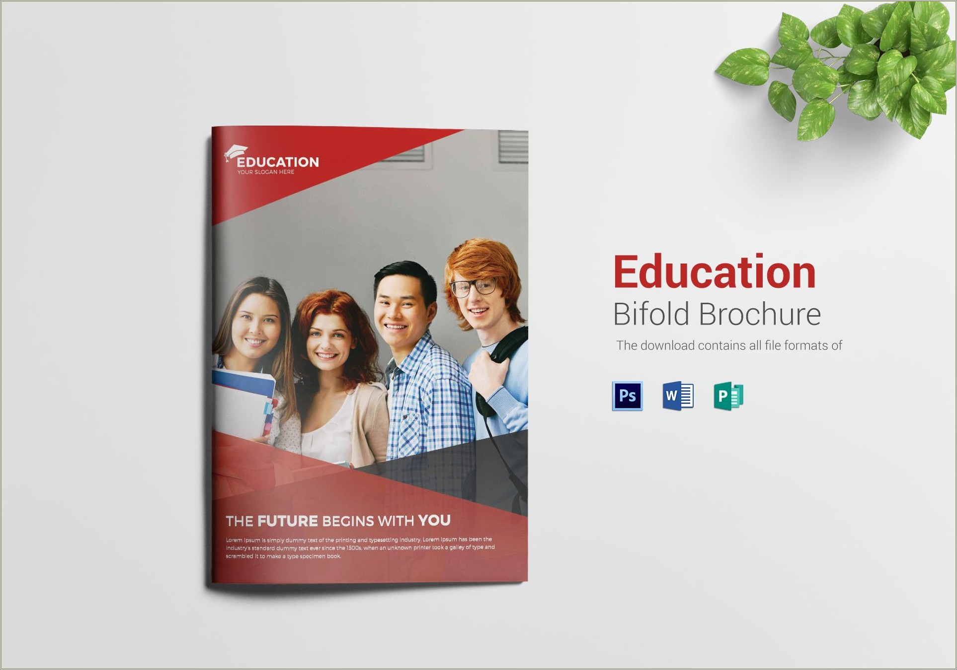 Free Brochure Design Templates For Education