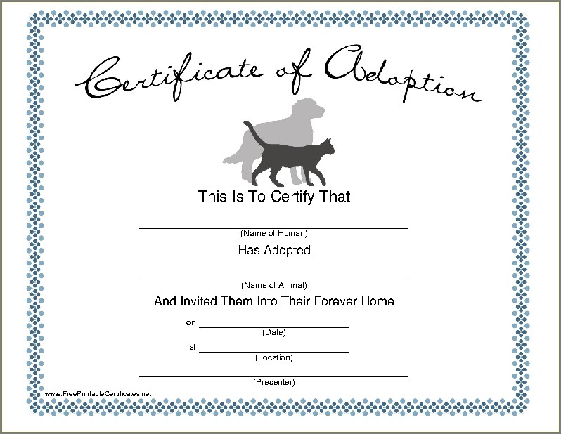 Free Cat Adoption Certificate Template Word