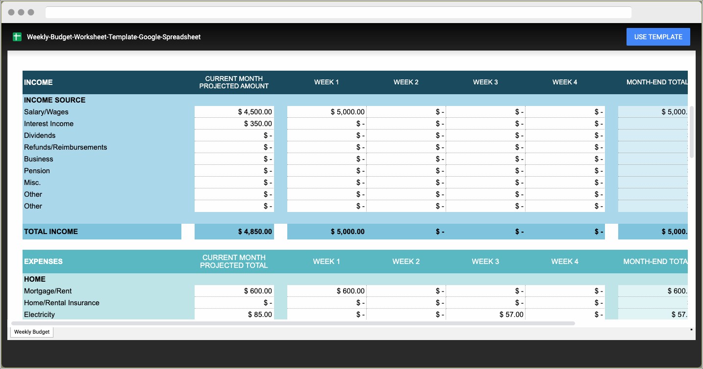 Free Nonprofit Financial Template Google Sheets