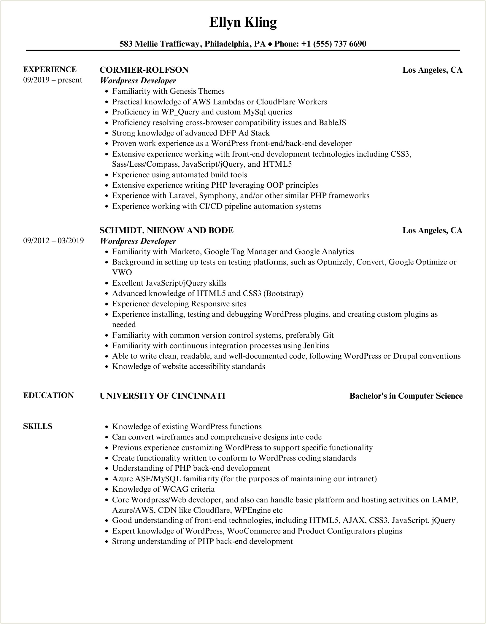 Wordpress Developer Resume For 3 Year Experience