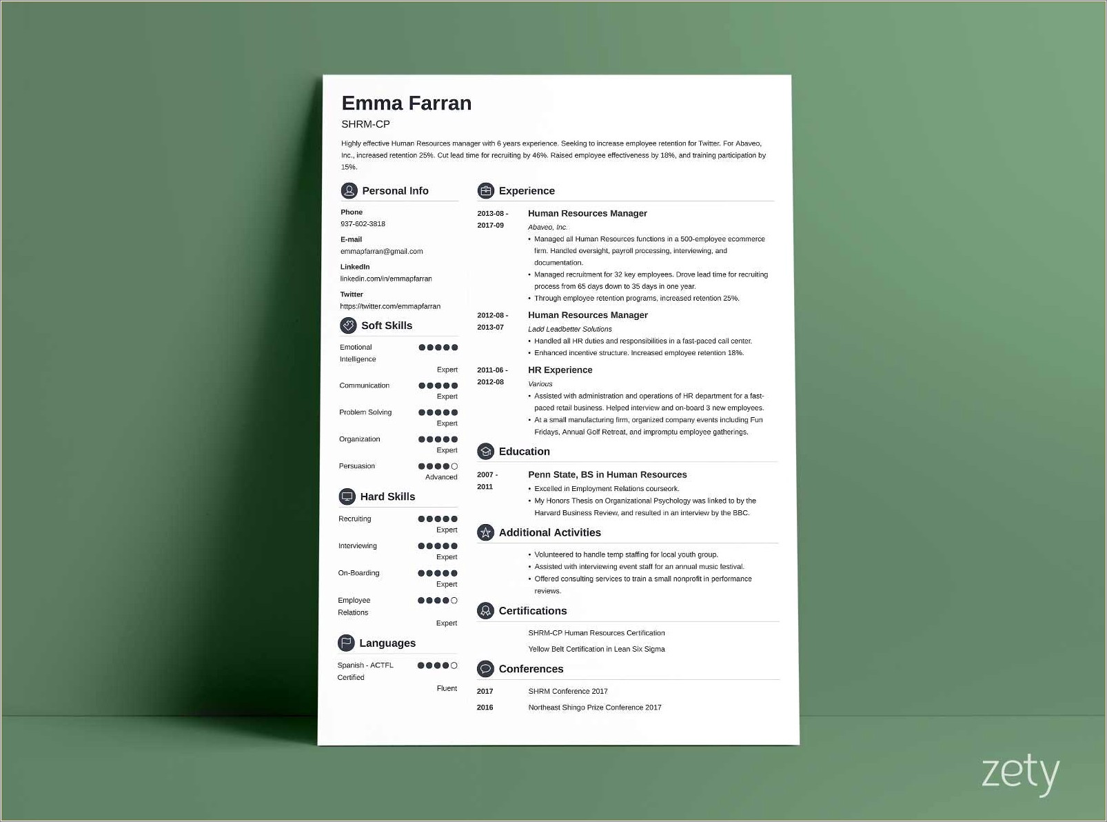 Zety Style Resume Template For Word