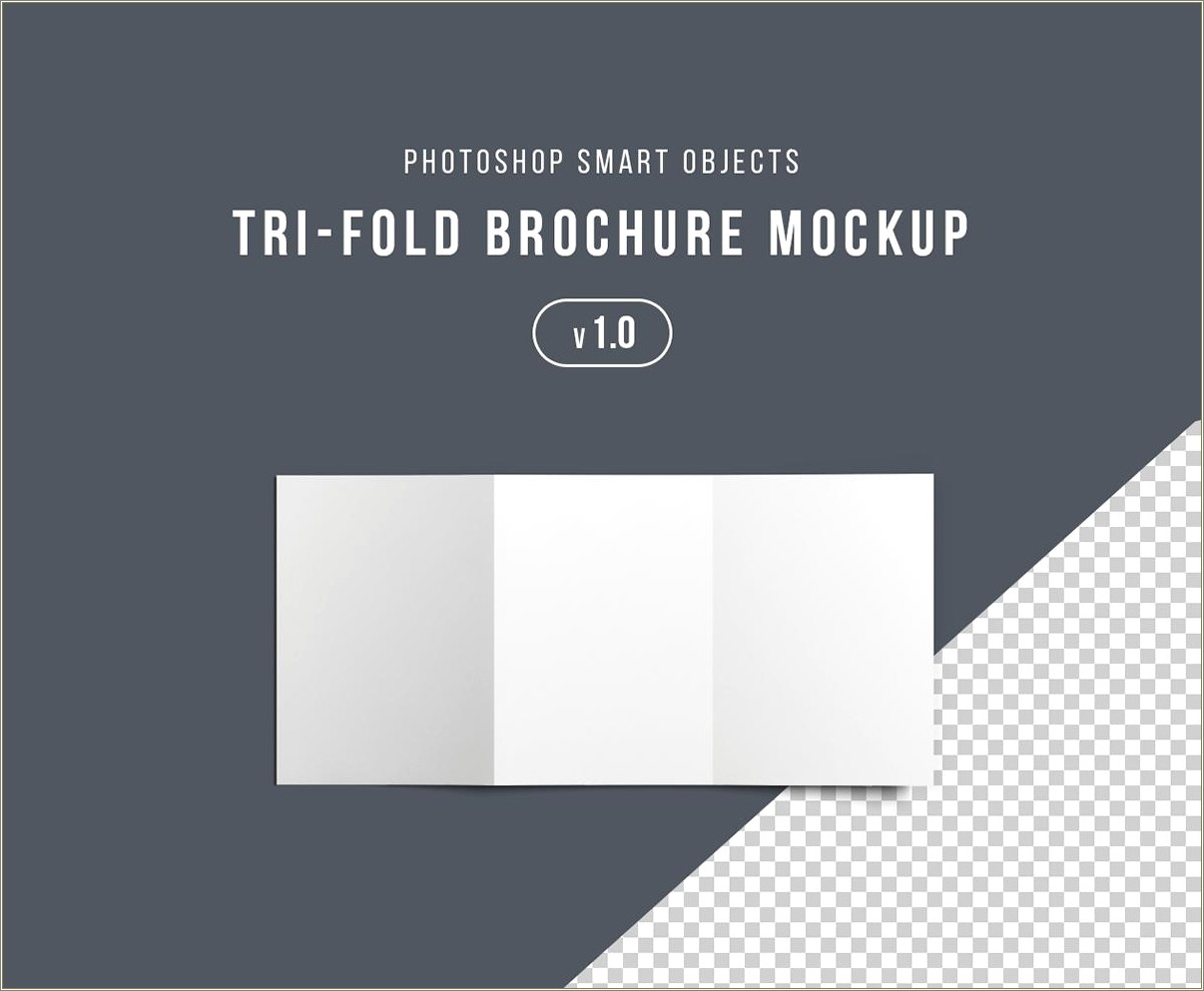 A3 Tri Fold Brochure Template Psd Free Download