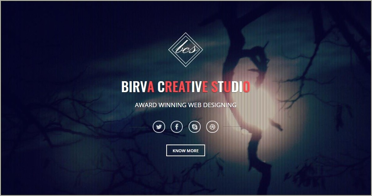 Birva Bootstrap Parallax One Page Template Free Download