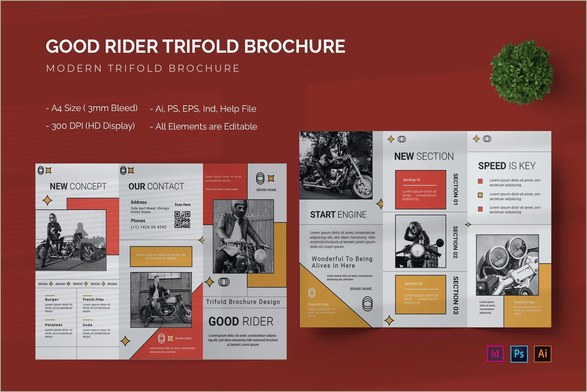 Brochure Templates Medicine Trifold Free Download For Publisher