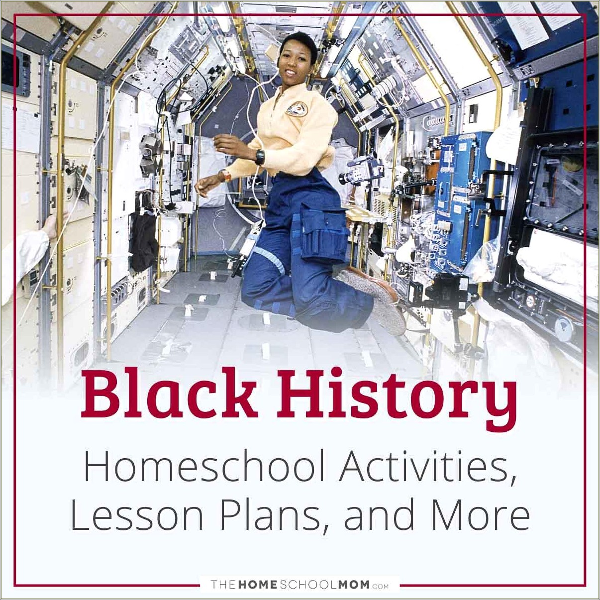 Free Black History Lap Books Templates For Homeschool