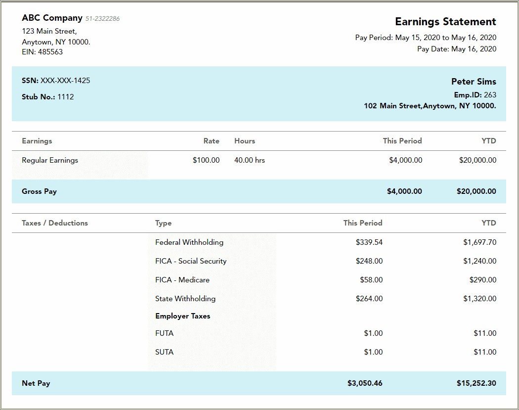 Free Pay Stub Template For Self Employed