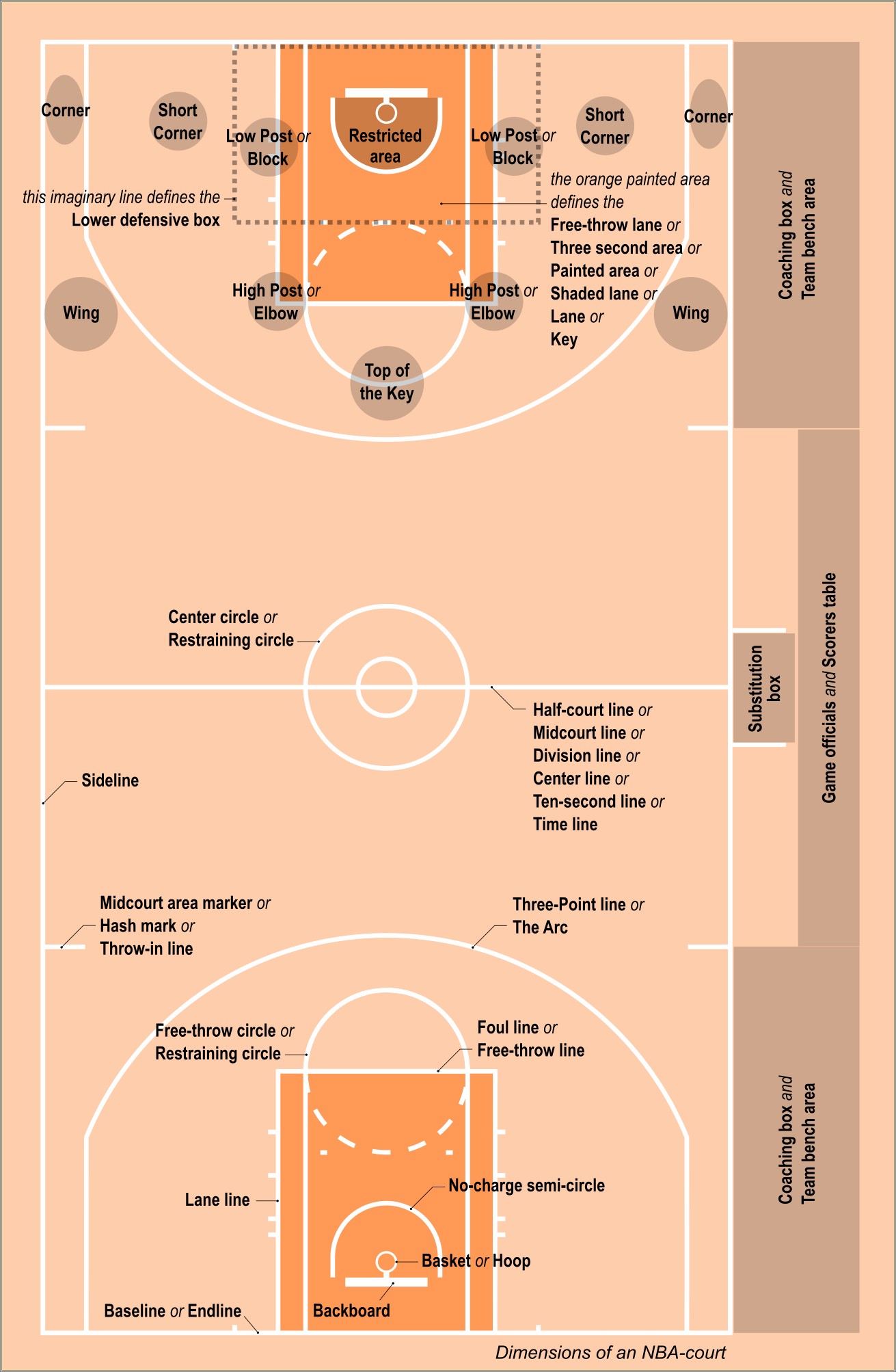 Free Printable Basketball Court Template Quiz Sheet