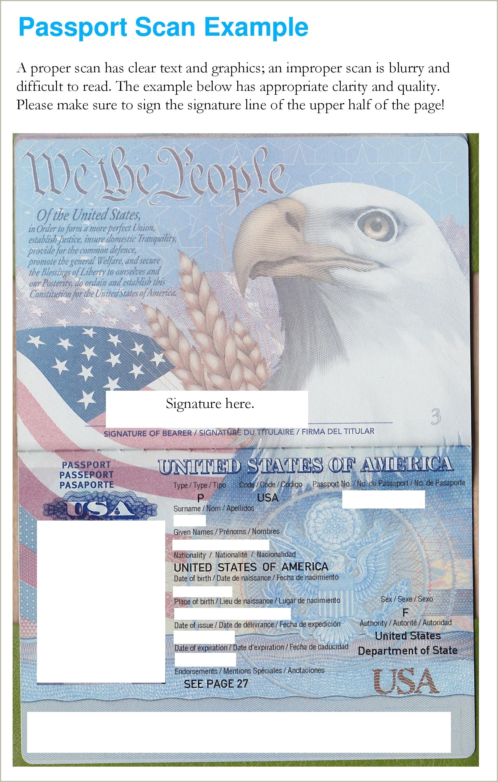 Free Printable Us Passport Template For Students - Resume Example Gallery