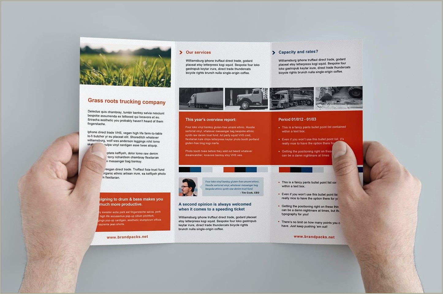 Free Tri Fold Brochure Templates For Teachers