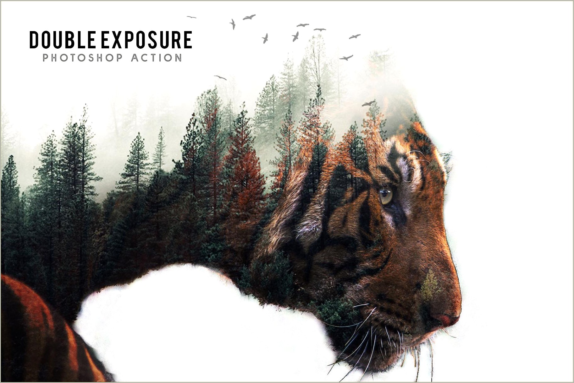 color double exposure photoshop photo template free download