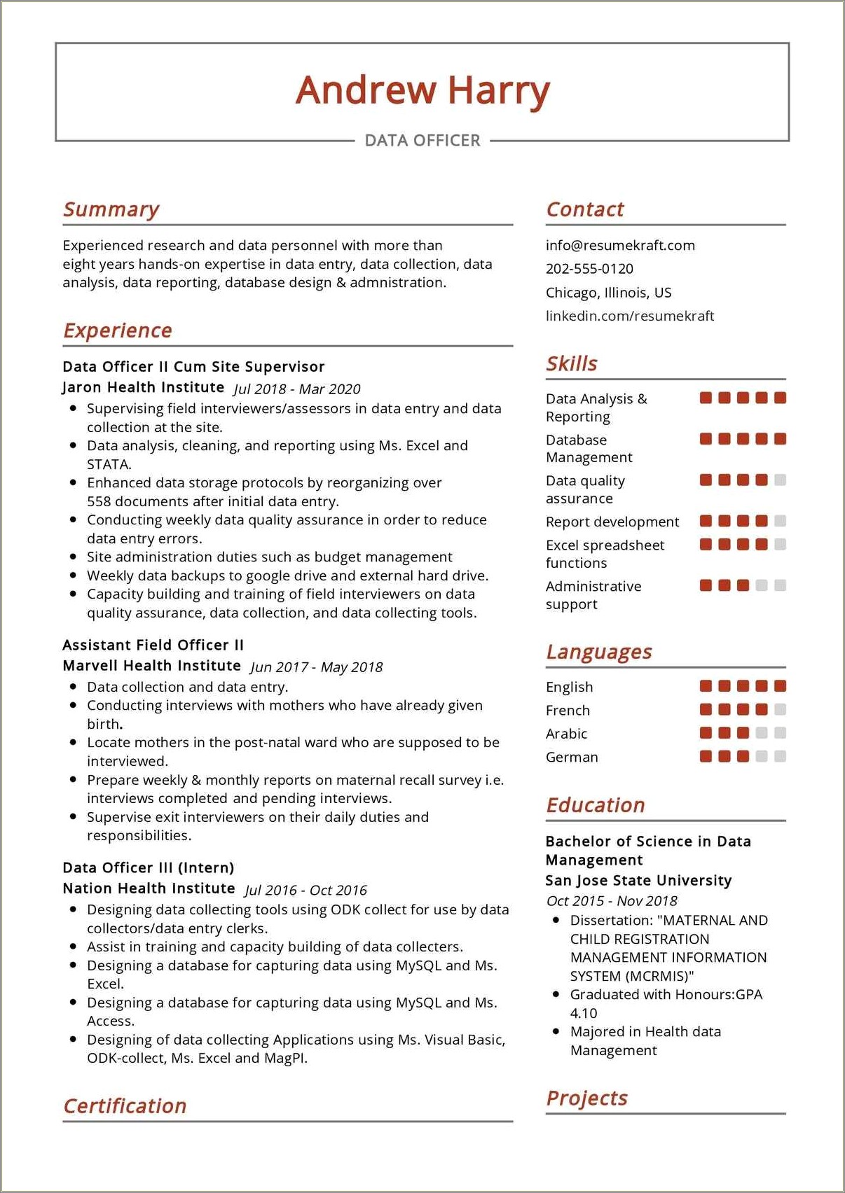 Healthcare Data Entry Resume Example