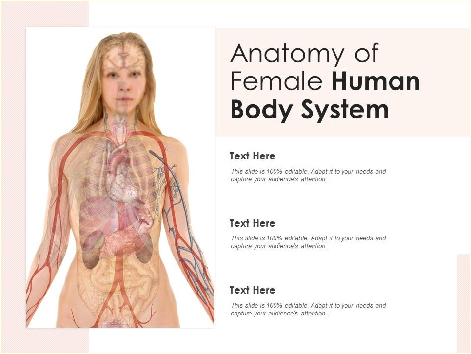Human Shoulder Anatomy Powerpoint Templates Free Download