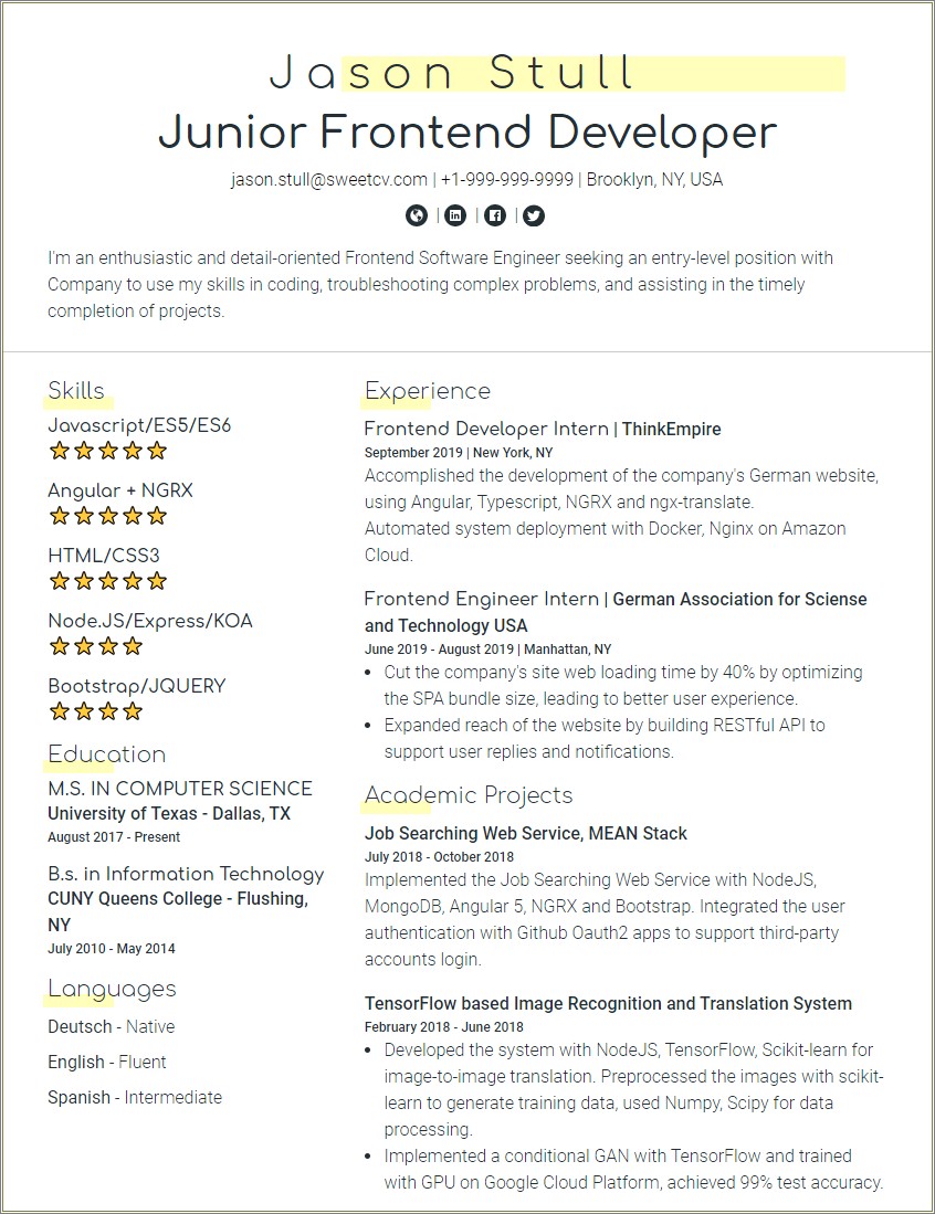 Online Web Developer Resume Examples