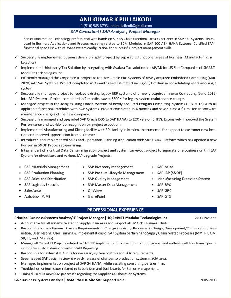 Salesforce Business Application Manager Resume