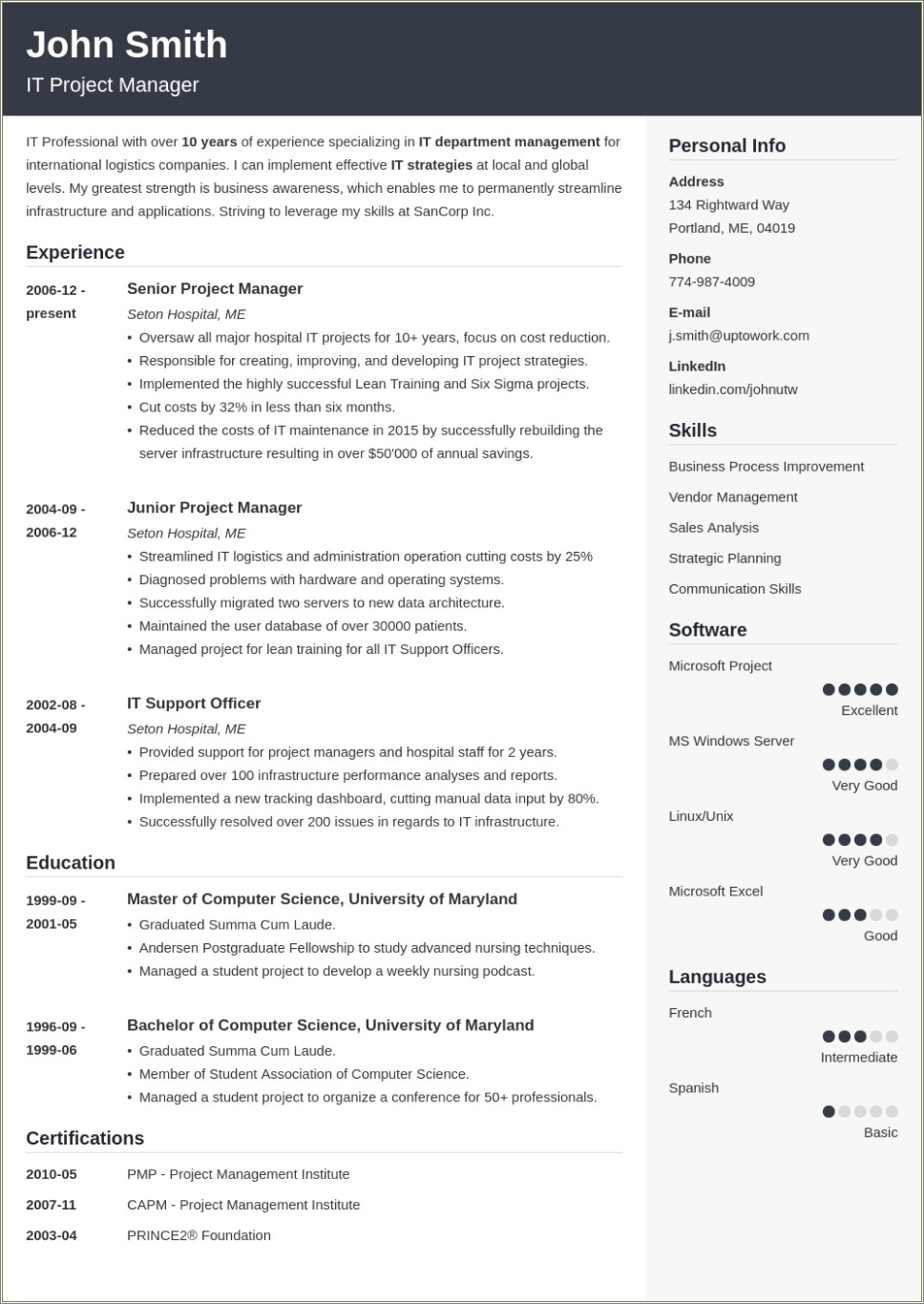 Sample Format Of Professional Resume