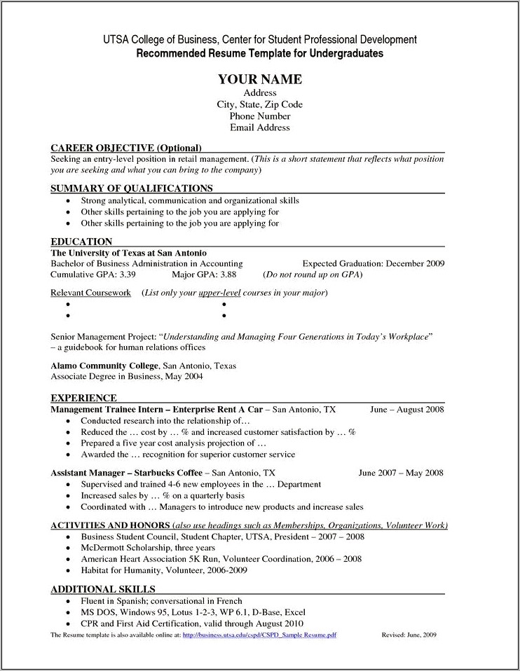 Additional Summary On Resume Examples