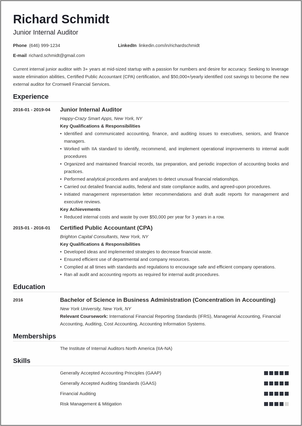 Audit Assistant Resume Sample India