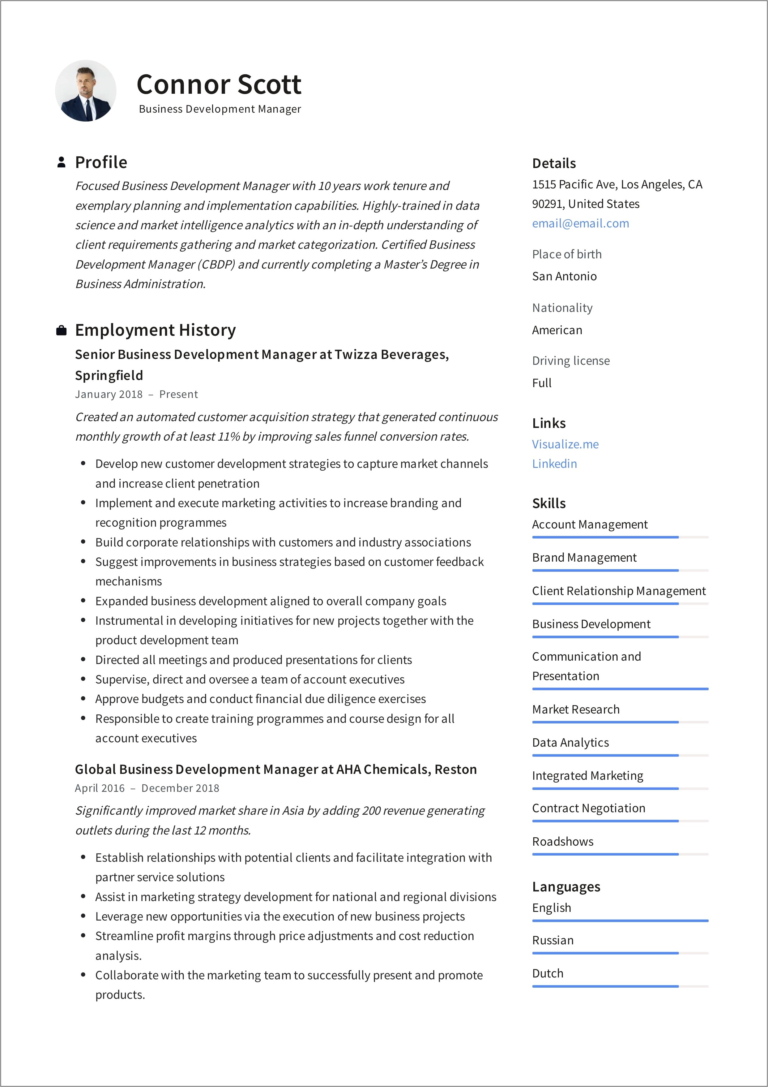 Business Manager Resume Sample Pdf