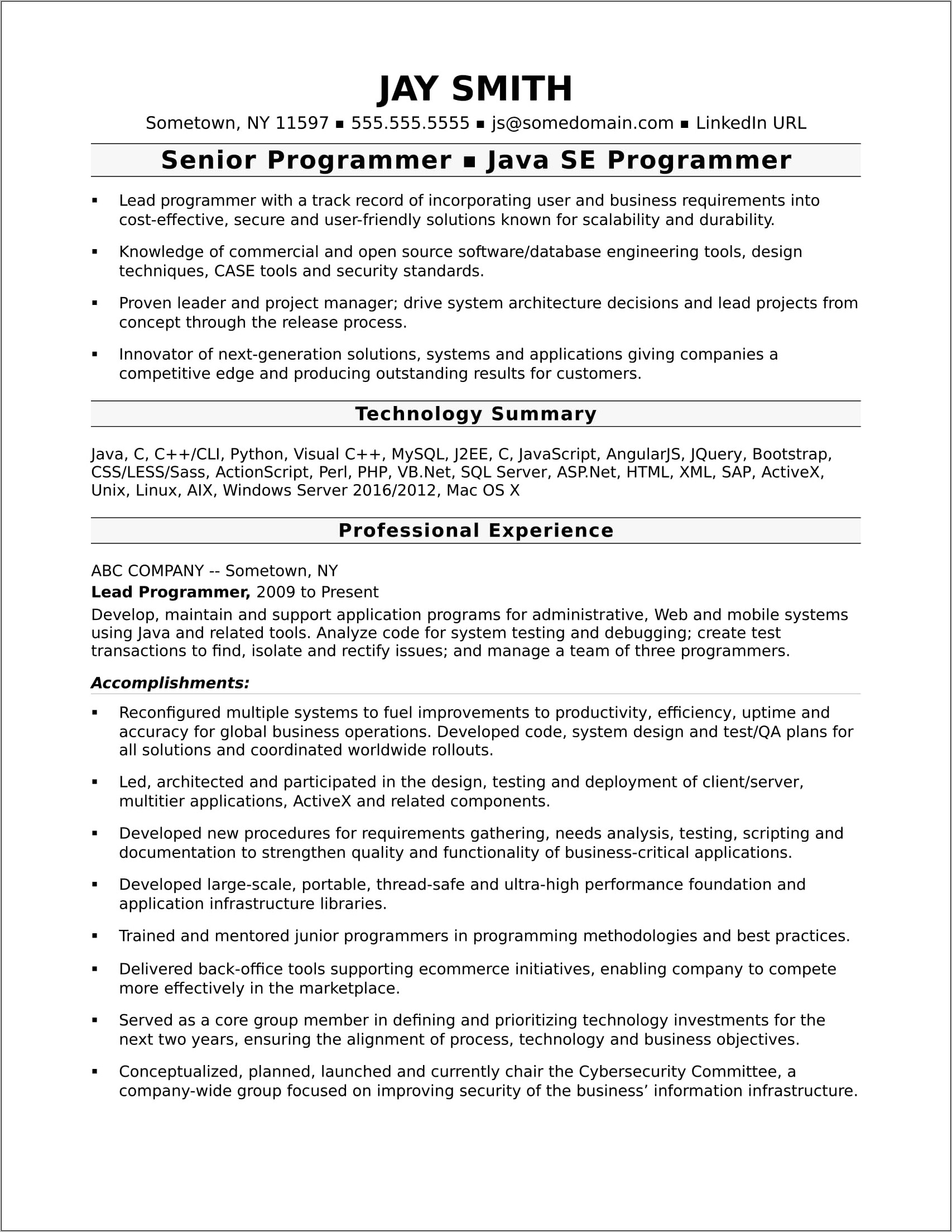 Computer Developer Resume Skills Section