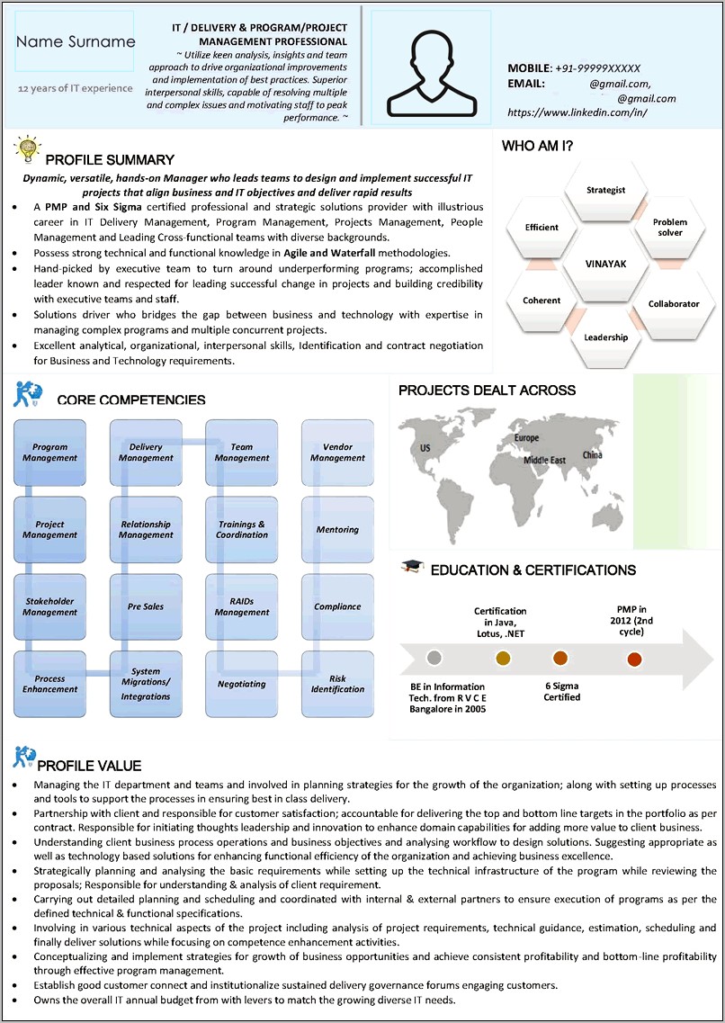 Example Of Infographic Resume Technology