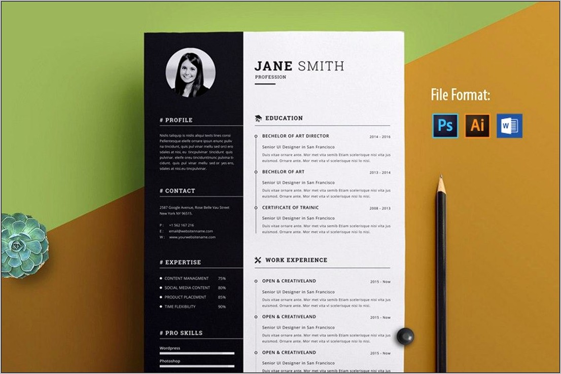 Free Marketing Resume Templates Word