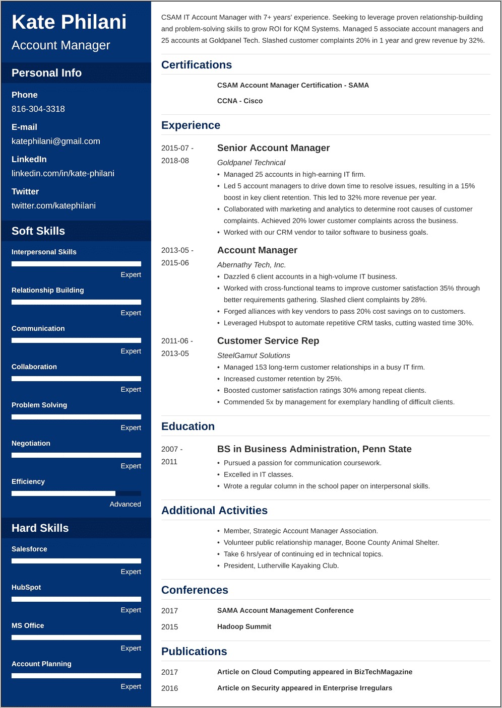 Global Account Manager Sample Resume