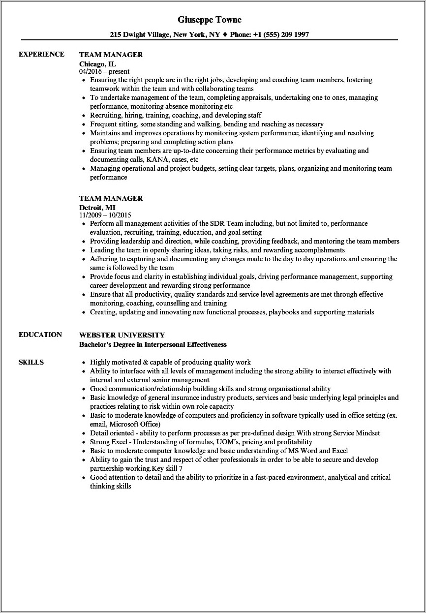 Objectives For Resume Team Player