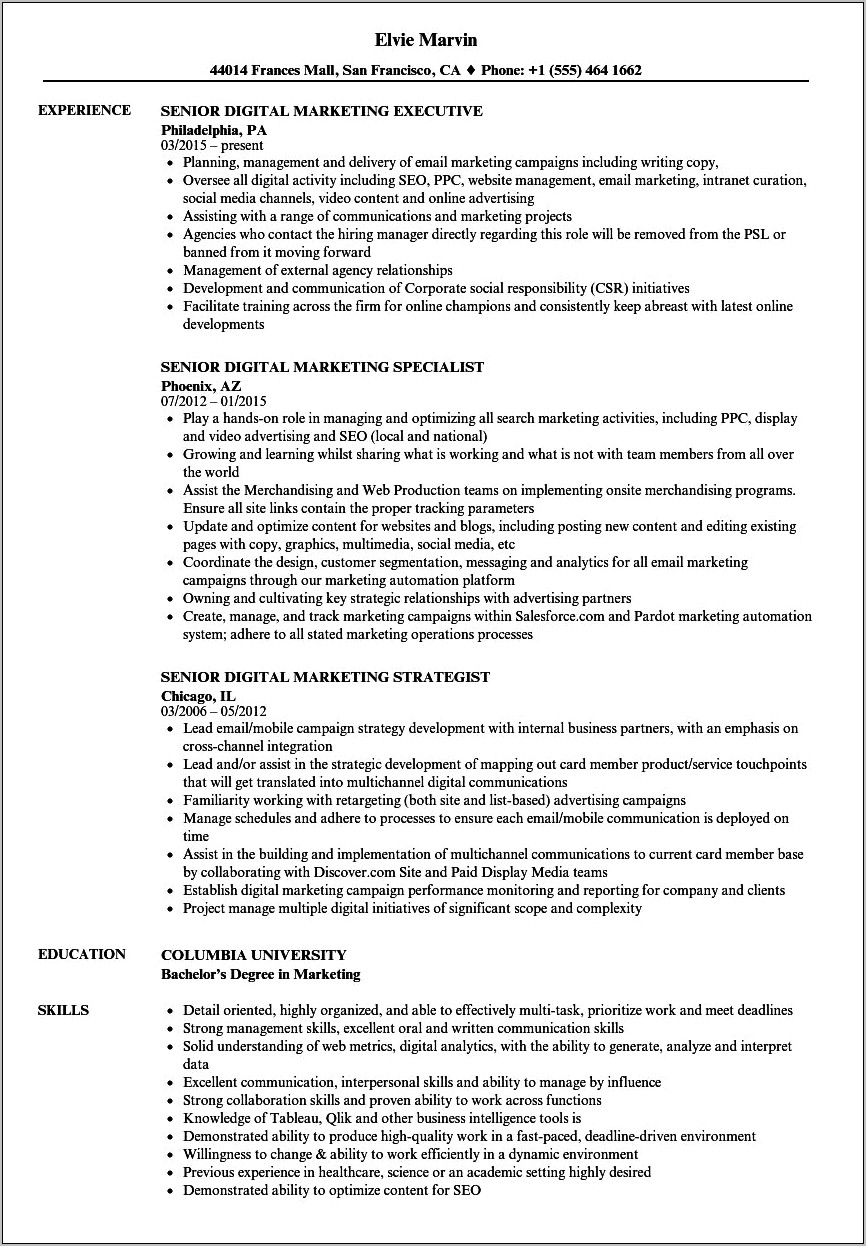 Online Marketing Manager Resume Example