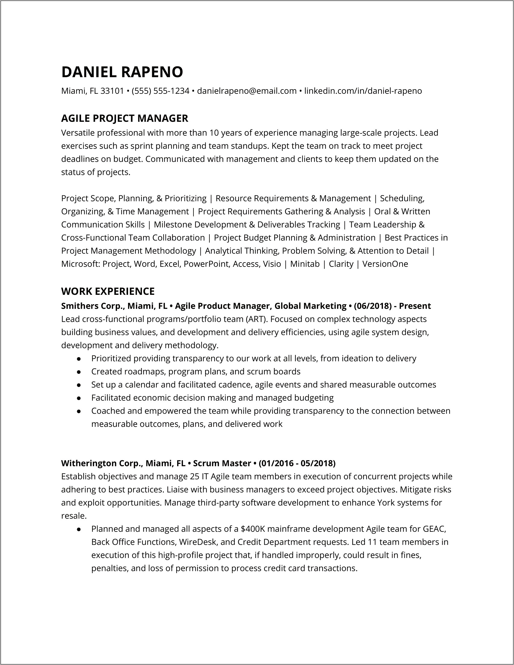 Project Management Resume Templates Examples