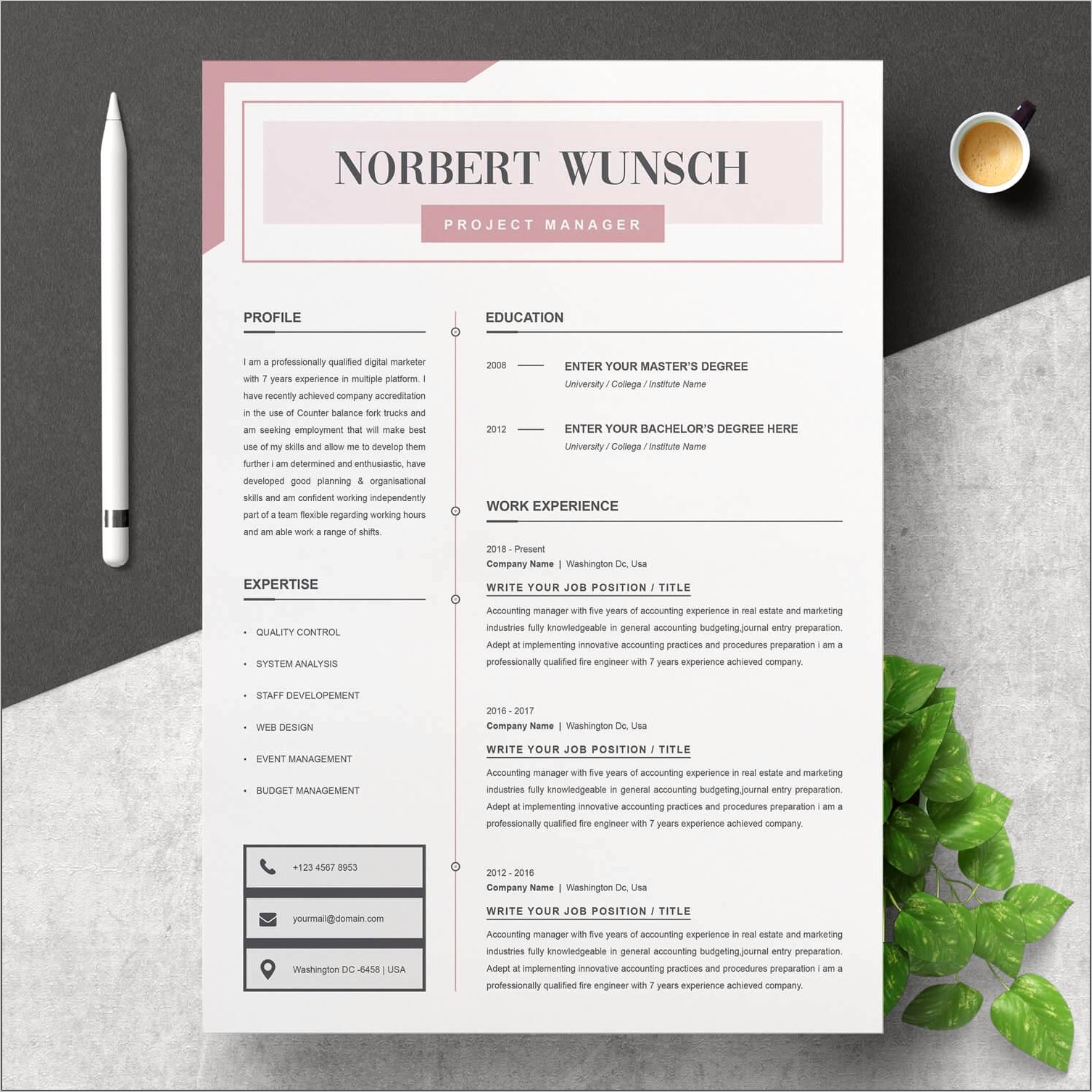 Project Manager Resume Sample Download