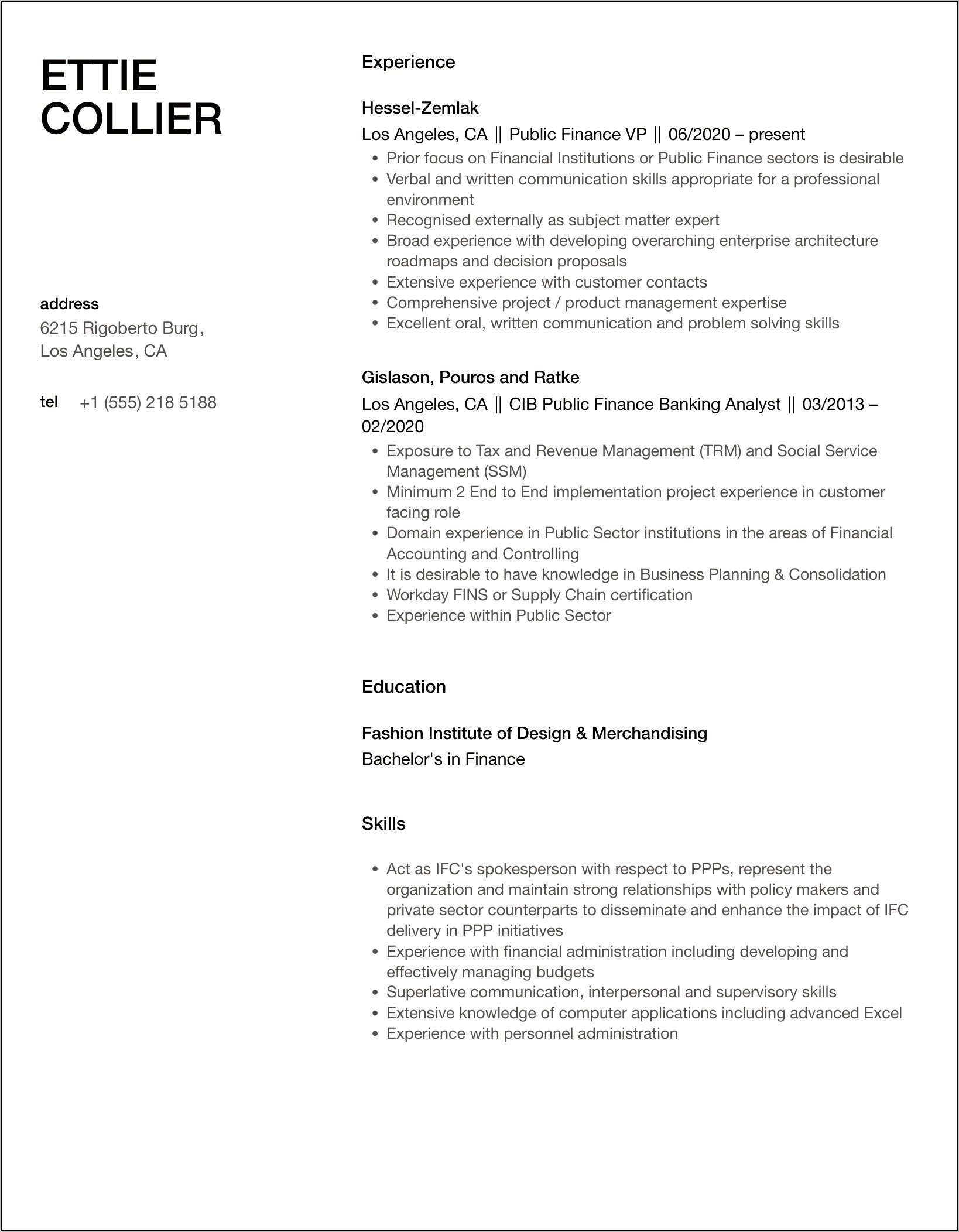 Public Sector Finance Resume Examples