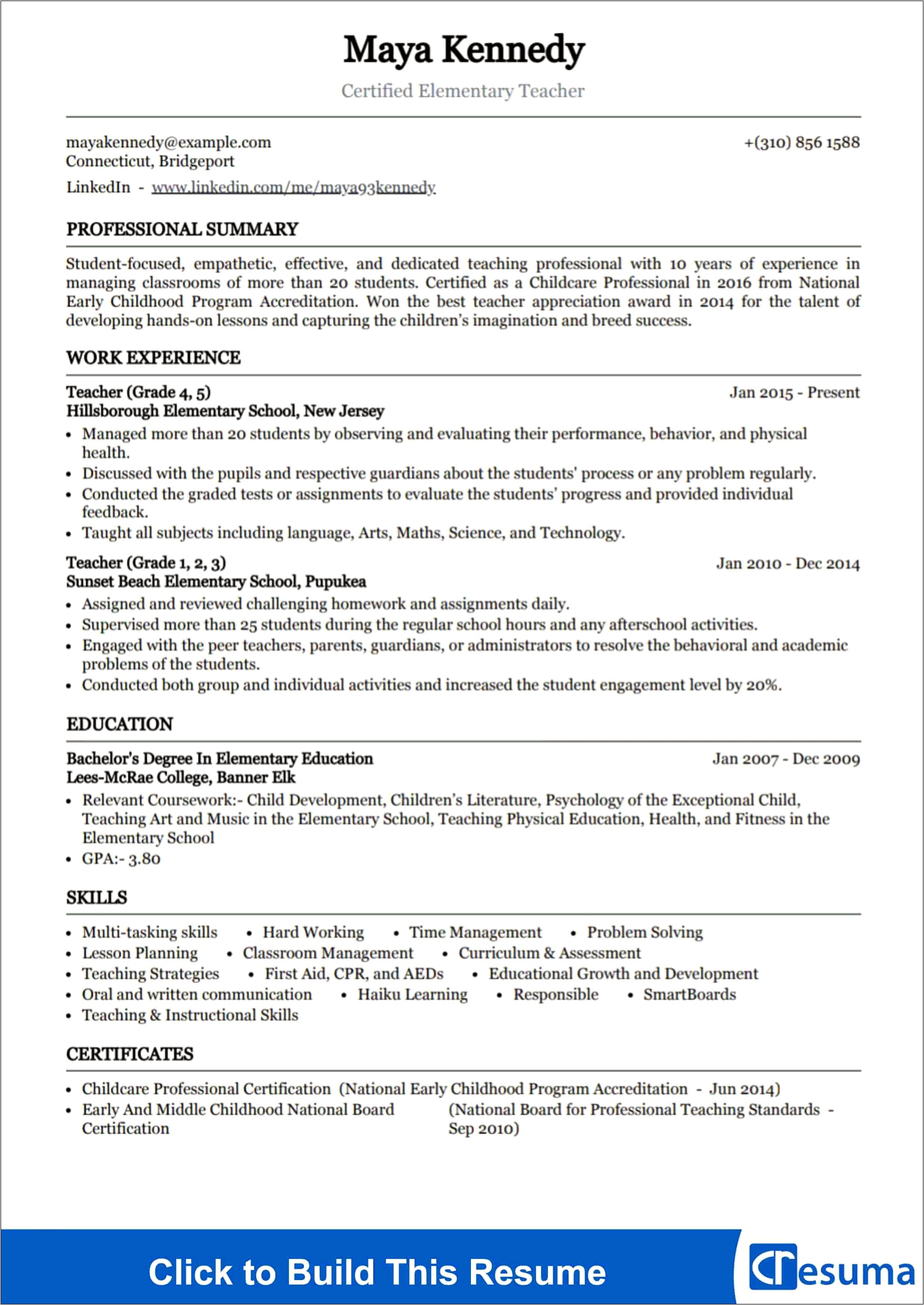 Resume Profile Summary Examples Educator