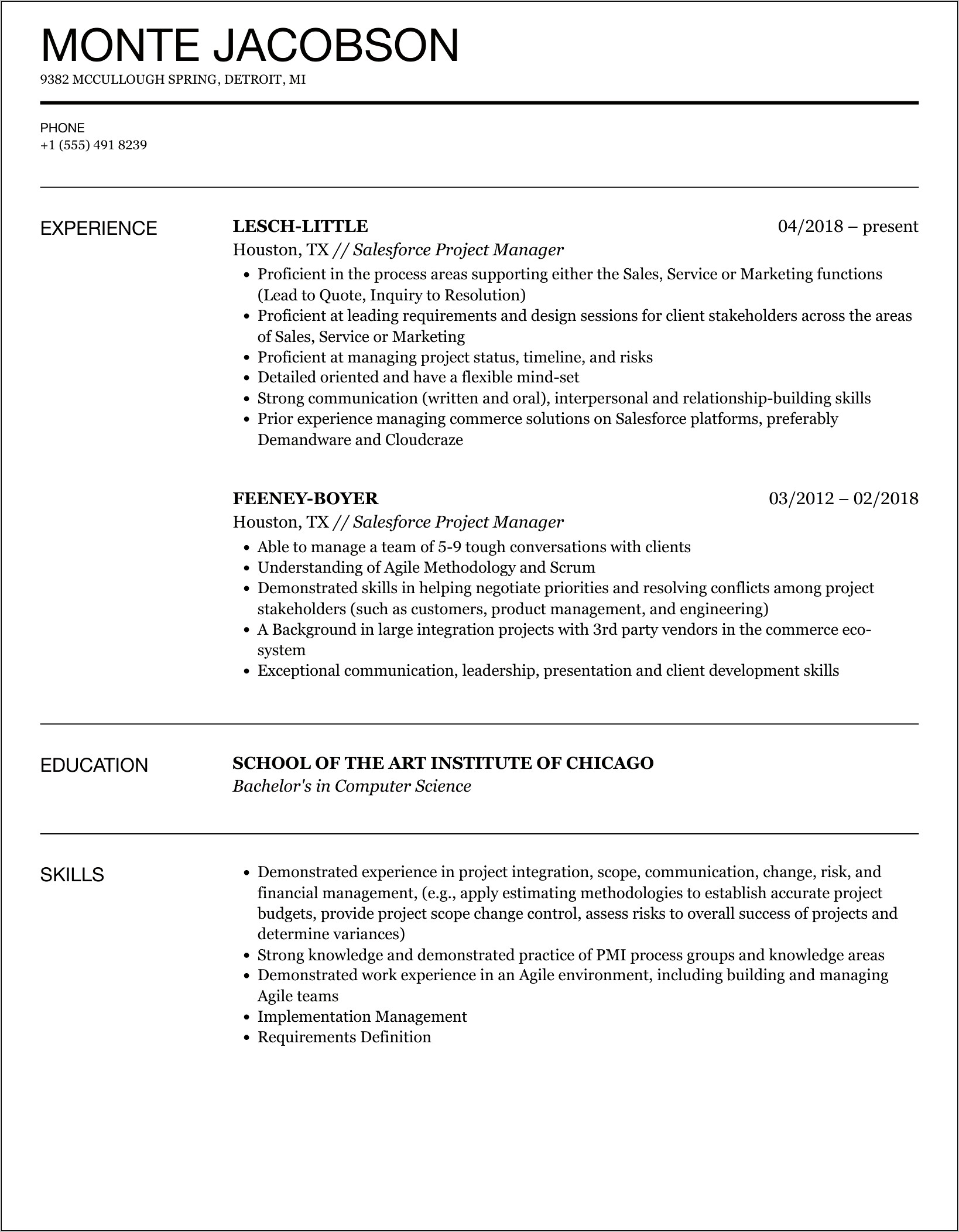 Salesforce Project Manager Resume Indeed