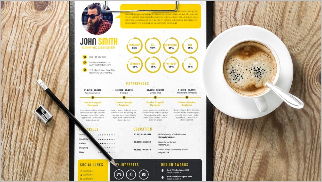 Sample Infographic Resume Web Developer