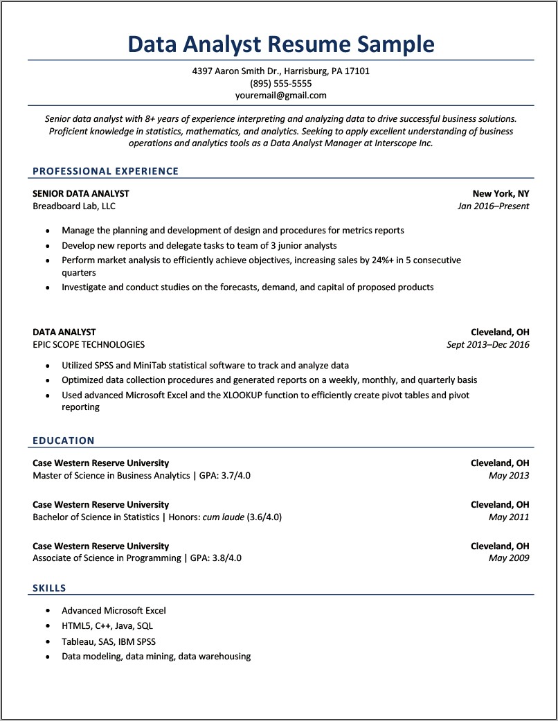 Sample Resume Excel Data Analyst