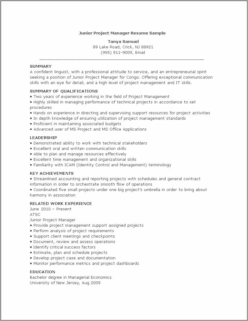 Technical Project Assistant Sample Resume
