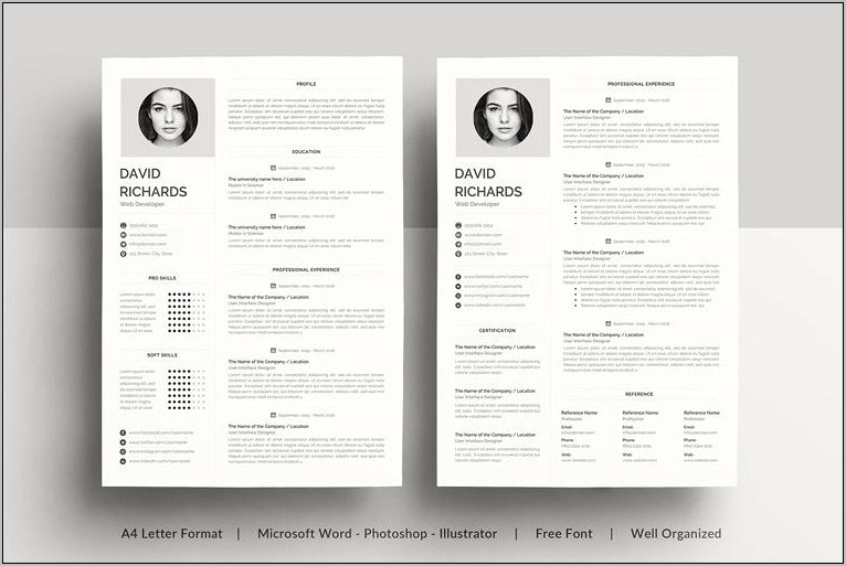 Virtual Assistant Skills Resume Sample