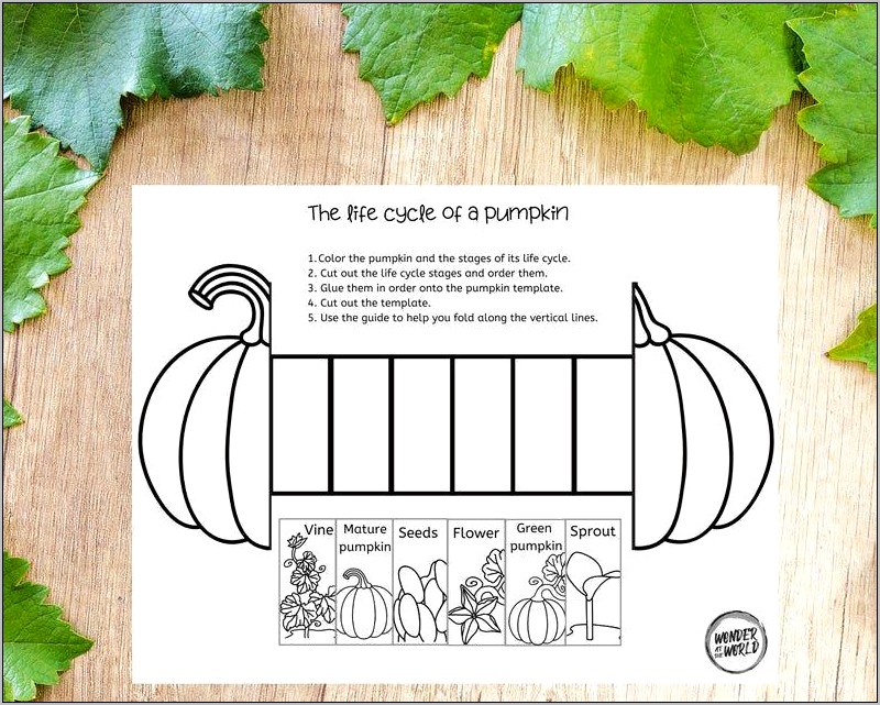 2 1 2 Inch Pumpkin Leaves Download Templates