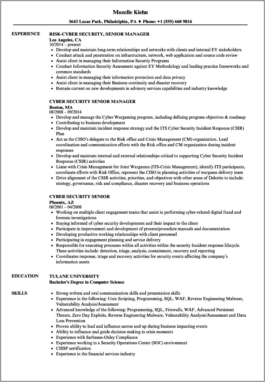 2 Page Ciso Resume Example