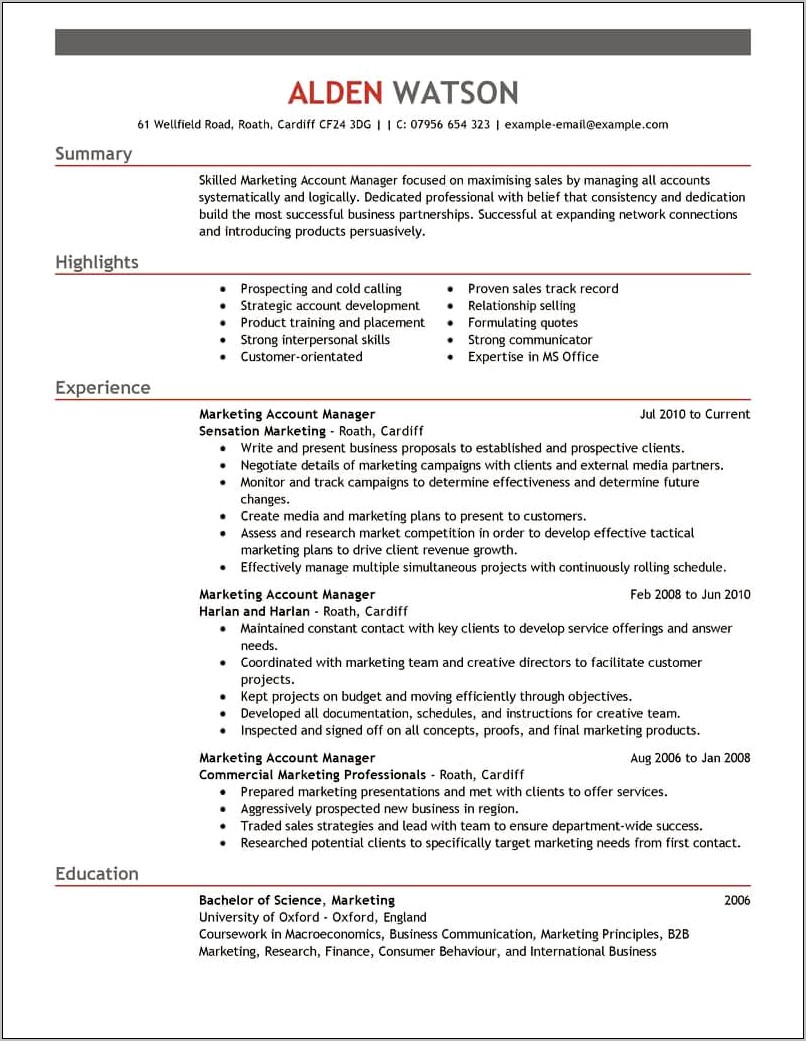 2018 Account Manager Resume Samples