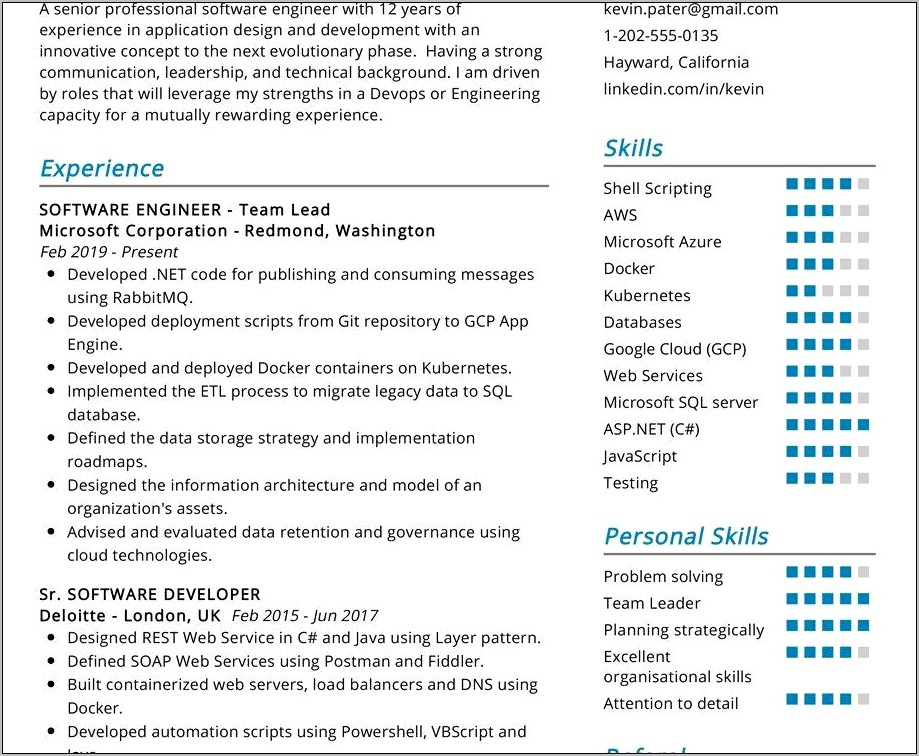 2019 Best Software Engineer Resume