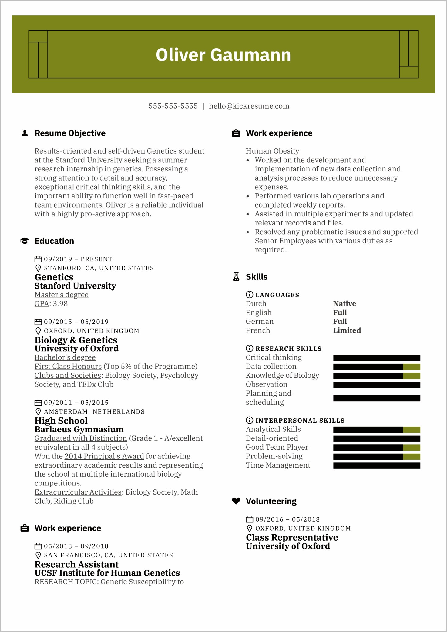 Academic Resumes For A Job